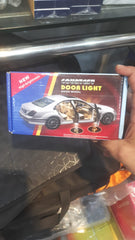 Courtest Door Light